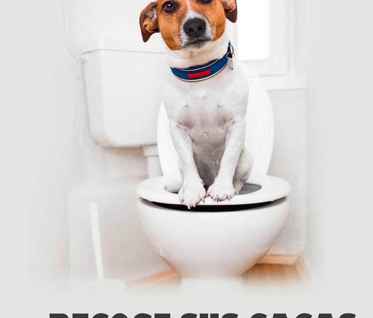 Móstoles lanza una campaña para concianciar sobre la recogida de heces caninas