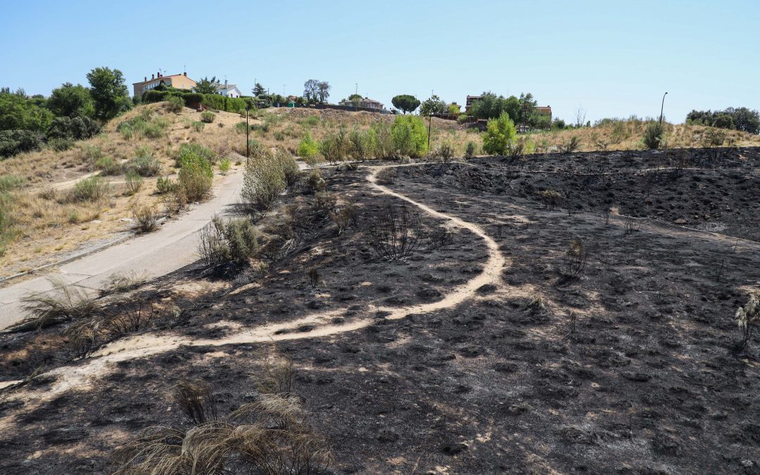 El Ayuntamiento de Móstoles trabaja en un nuevo plan integral de prevención de incendios