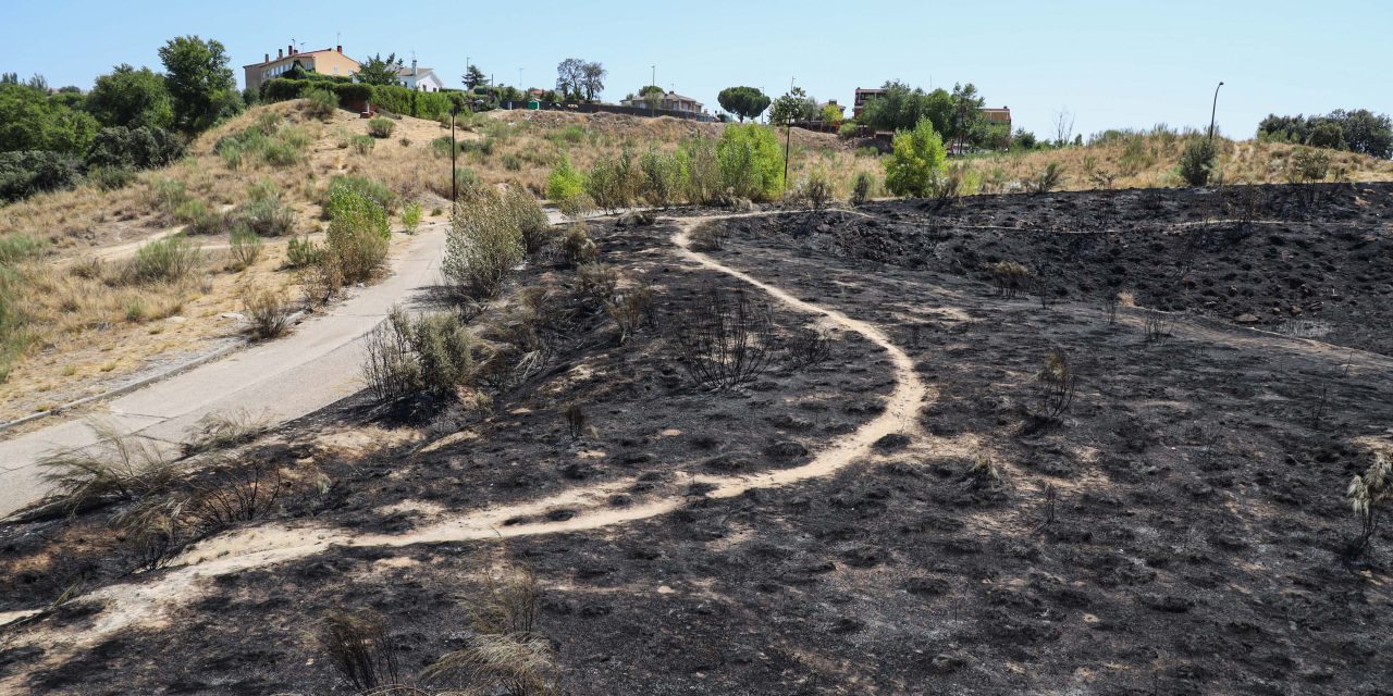 El Ayuntamiento de Móstoles trabaja en un nuevo plan integral de prevención de incendios