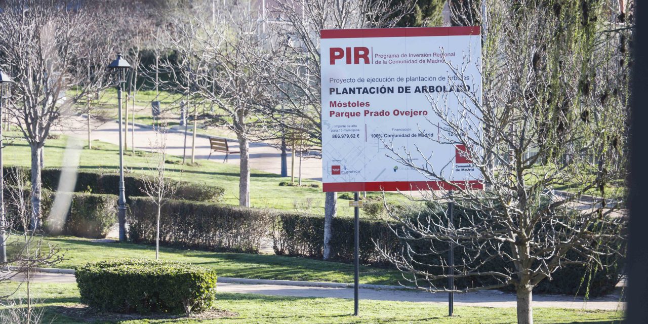 Concluye la plantación de arbolado de Prado Ovejero a cargo del PIR