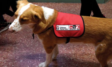 En marcha un programa de apoyo con perros a niños y niñas con autismo