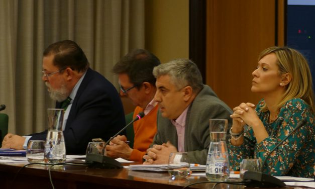 Ciudadanos acusa al PSOE de camuflar la remunicipalización de Cofely
