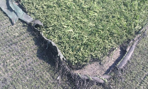 Más de 2.000 niños entrenan en los campos Iker Casillas con deficiencias de iluminación y con graves riesgos de lesiones