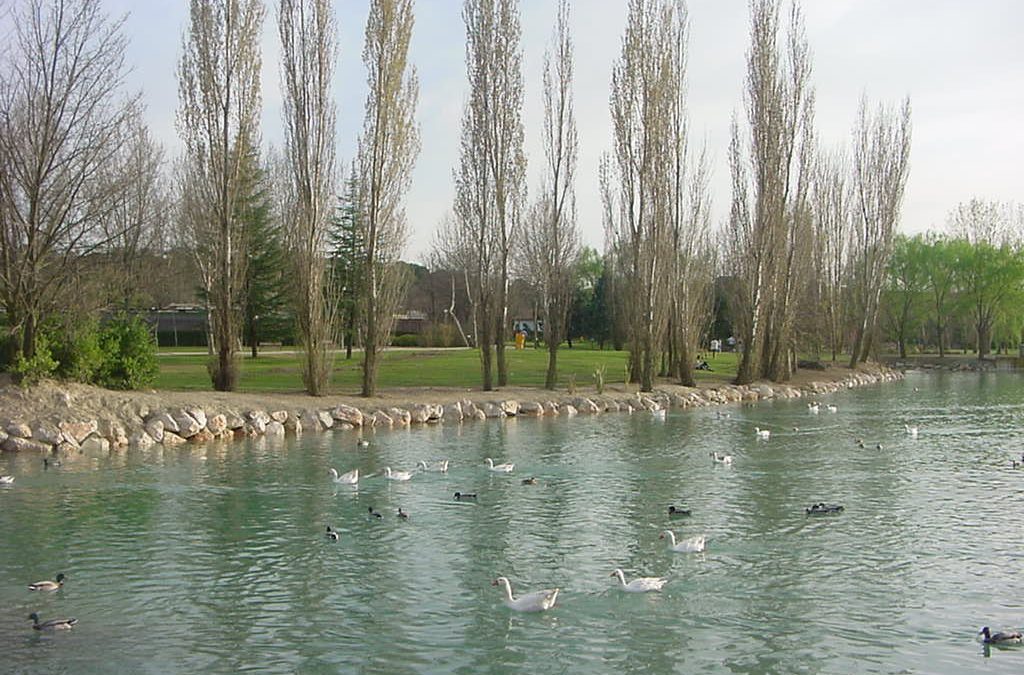 Móstoles invertirá 3 millones de euros en la remodelación sostenible del Parque Natural de El Soto