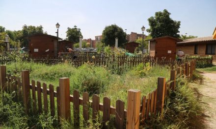Móstoles adjudicará 22 parcelas destinadas a huertos de ocio en Finca Liana