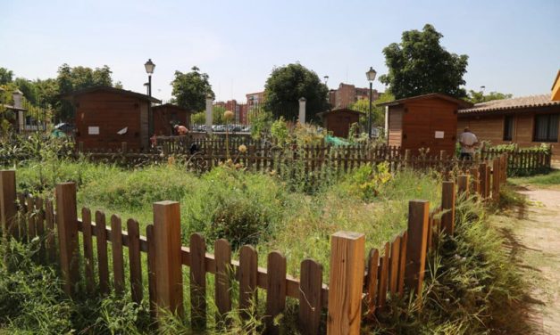 Móstoles adjudicará 22 parcelas destinadas a huertos de ocio en Finca Liana