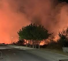 El PP exige al Gobierno local que cumpla el Plan Especial contra incendios en Parque Coimbra-Guadarrama
