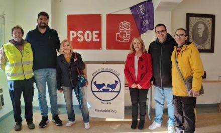 El PSOE de Móstoles recoge más de 100 kilos de alimentos no perecederos que han sido donados al Banco de Alimentos de Madrid
