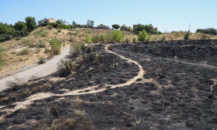 El Ayuntamiento de Móstoles trabaja en un nuevo plan integral de prevención de incendios