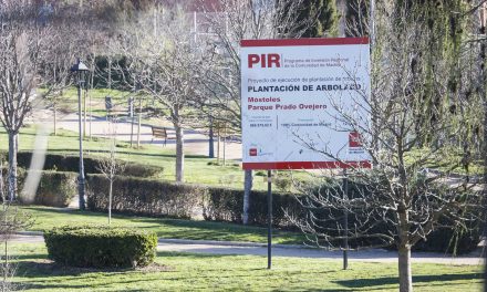 Concluye la plantación de arbolado de Prado Ovejero a cargo del PIR