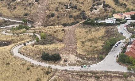 El Ayuntamiento de Móstoles y bomberos realizan cortafuegos preventivos en Parque Coimbra