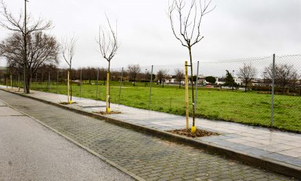 Móstoles impulsa la plantación de más de un millar de árboles en el PAU-4 con una inversión de 165.000 euros