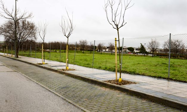 Móstoles impulsa la plantación de más de un millar de árboles en el PAU-4 con una inversión de 165.000 euros