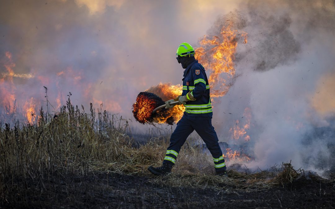 Acción Ecologista reclama localizar y retirar los vertederos ilegales para reducir el riesgo de incendios en Móstoles