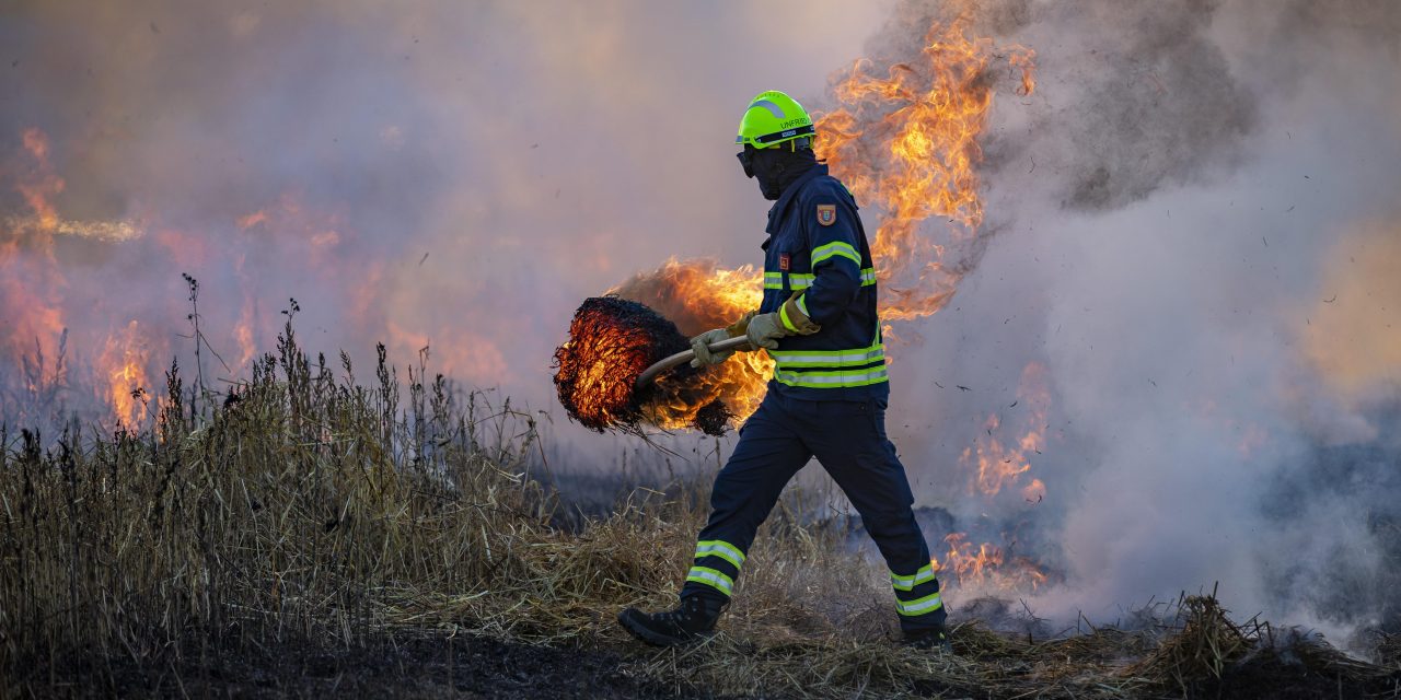 Acción Ecologista reclama localizar y retirar los vertederos ilegales para reducir el riesgo de incendios en Móstoles