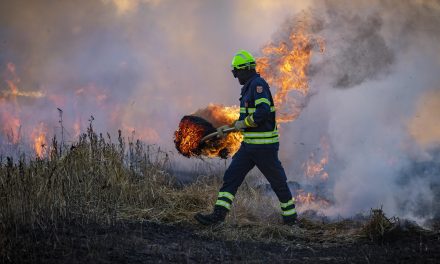 Acción Ecologista reclama localizar y retirar los vertederos ilegales para reducir el riesgo de incendios en Móstoles